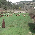 Casa Do Adro - Serra Da Estrela *