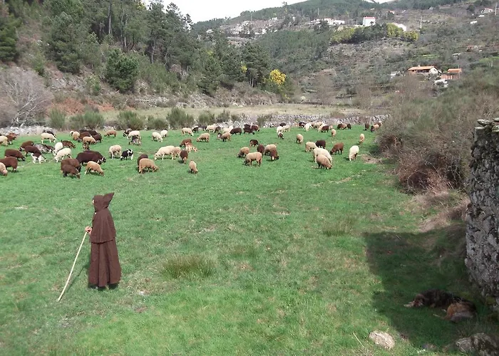 Casa Do Adro - Serra Da Estrela *
